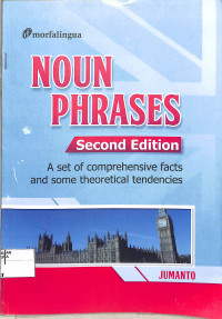 NOUN PHRASES : A set of comprehensive facts and some theoretical tendencies